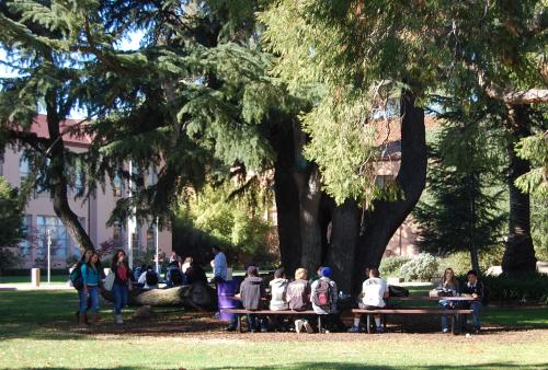 History Tree